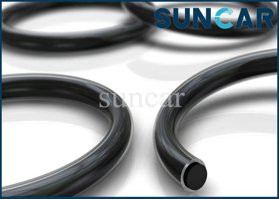 Phoque Kit For Sealing de joint circulaire de l'anneau CS2